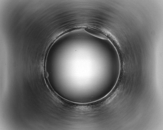 X0000093751033200710161153