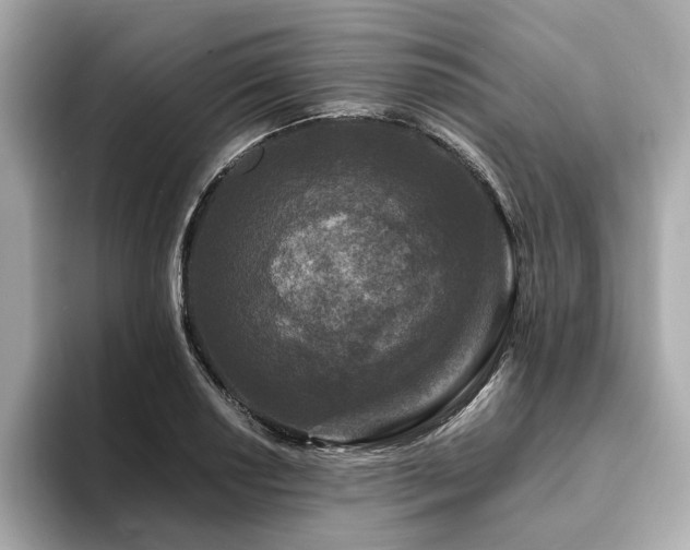 X0000093751034200710161153