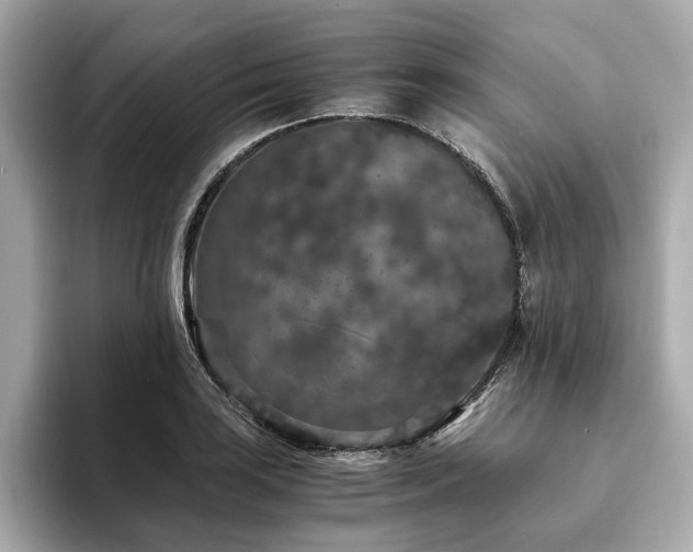X0000093751035200710161153