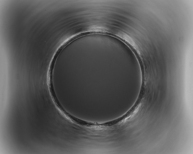 X0000093751037200710161153