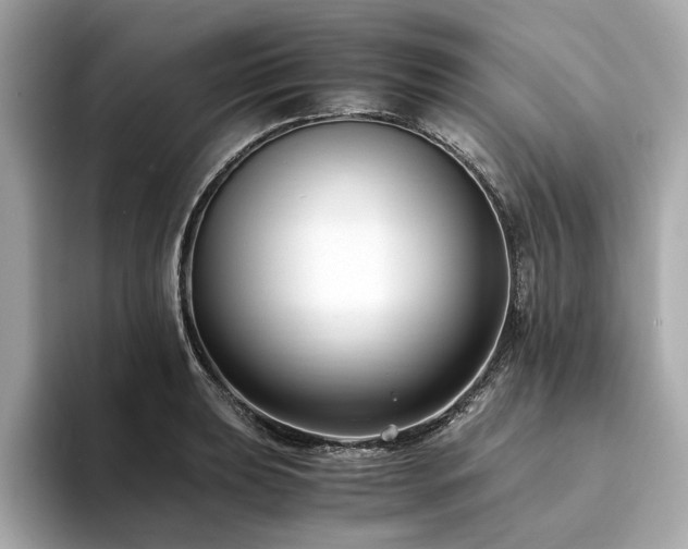 X0000093751039200710161153