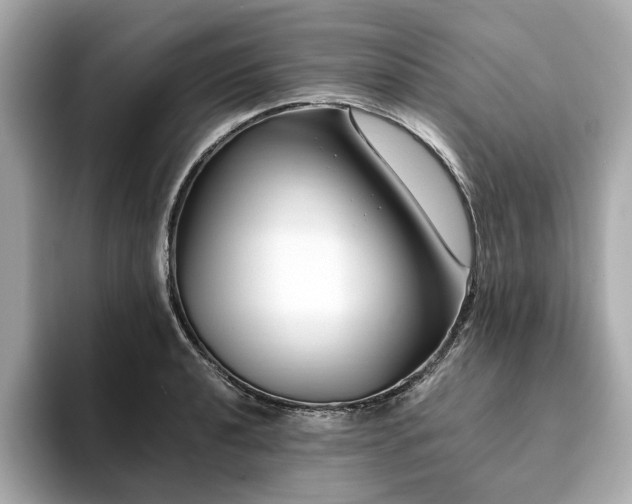 X0000093751040200710161153