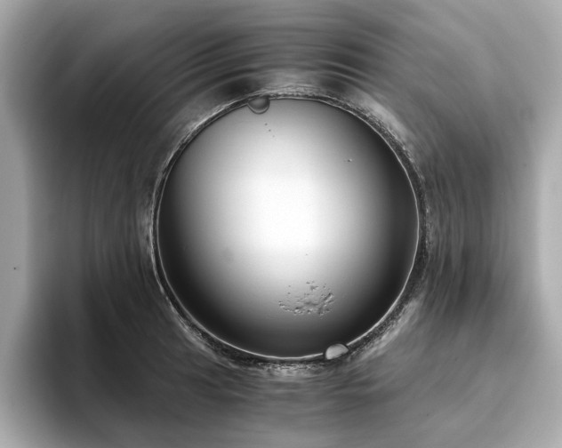 X0000093751041200710161153