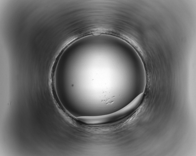 X0000093751042200710161153