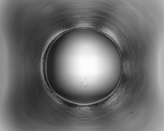 X0000093751043200710161153