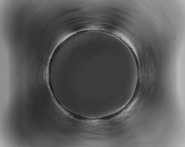 X0000093751045200710161153