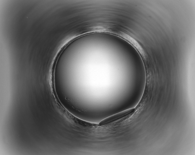 X0000093751051200710161154