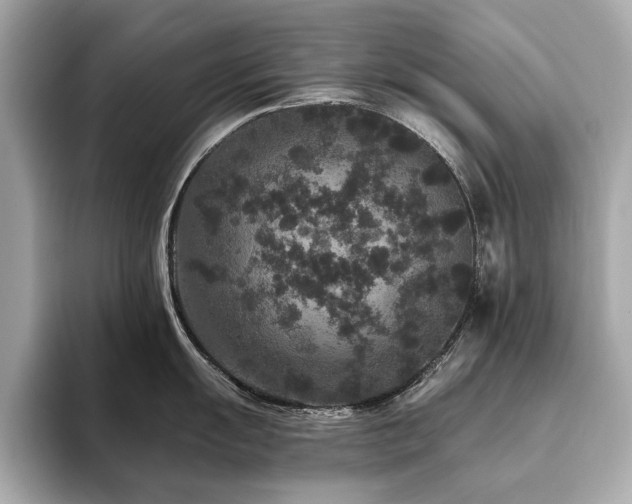 X0000093751055200710161154