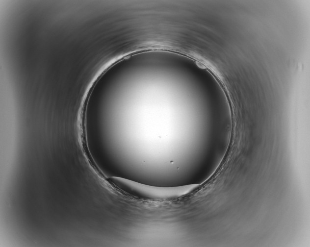 X0000093751056200710161154