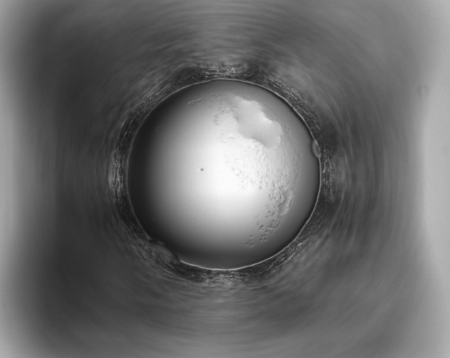 X0000093751058200710161153