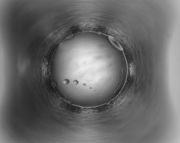 X0000093751059200710161153