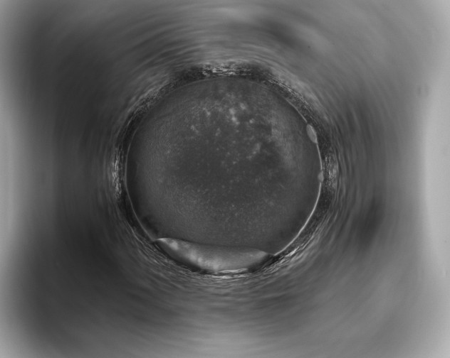 X0000093751060200710161153