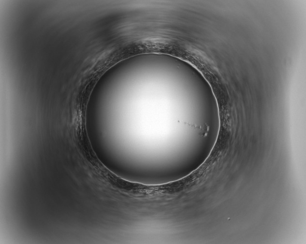X0000093751061200710161153
