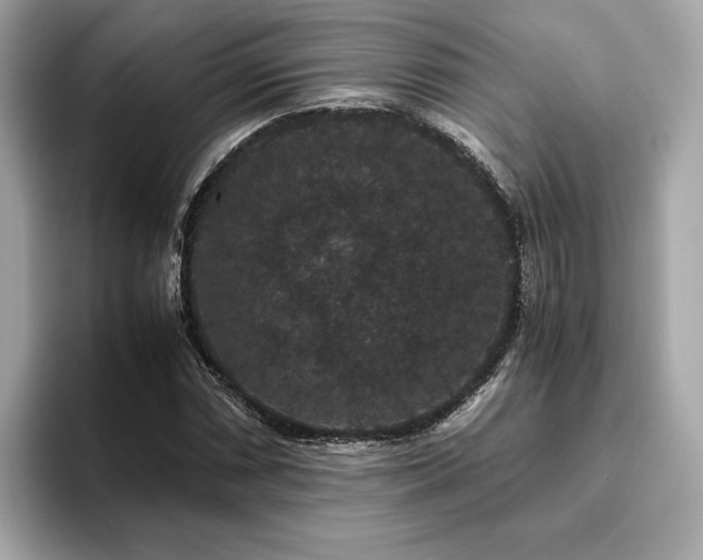 X0000093751066200710161153