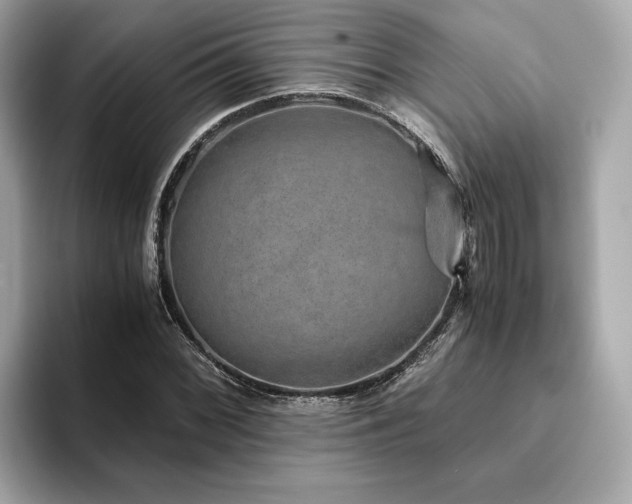 X0000093751068200710161153