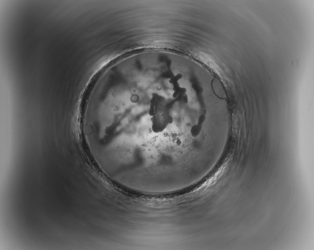 X0000093751071200710161153