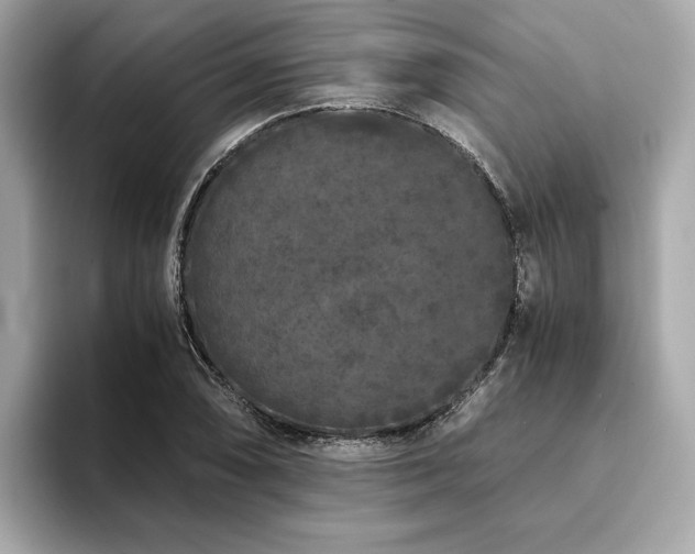 X0000093751074200710161153