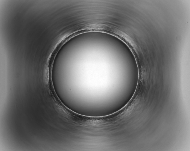 X0000093751075200710161153