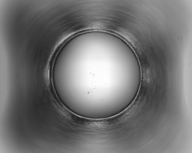 X0000093751078200710161153