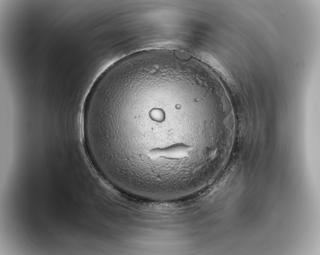X0000093751079200710161153