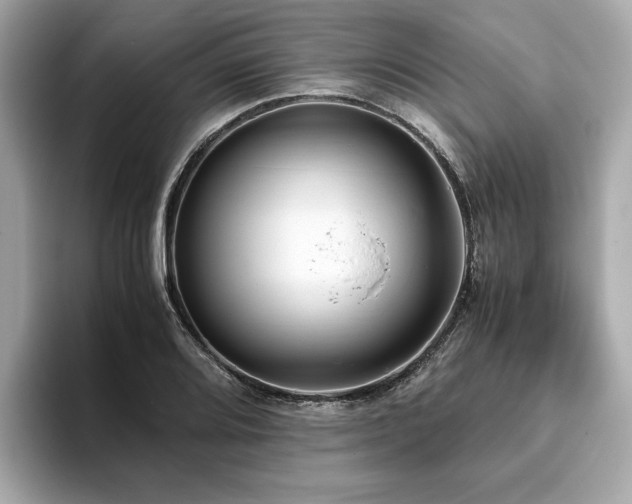 X0000093751080200710161153