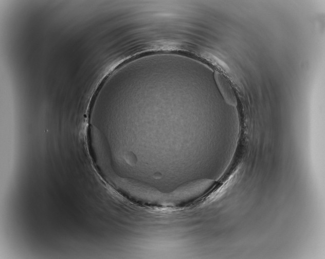 X0000093751081200710161153