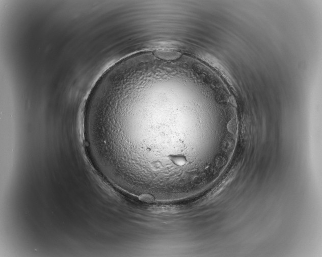 X0000093751083200710161153
