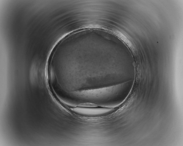 X0000093751084200710161153