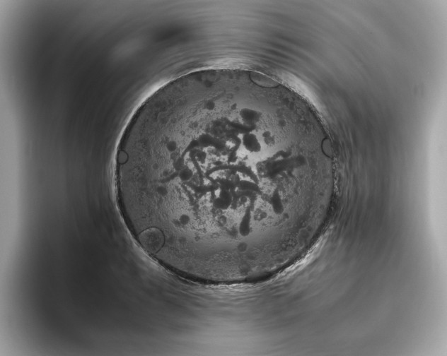 X0000093751087200710161153