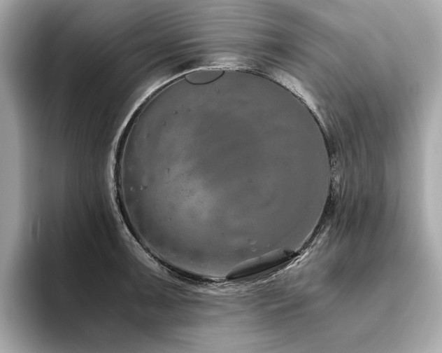 X0000093751091200710161153