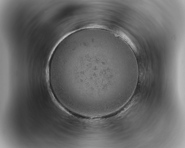 X0000093751092200710161153