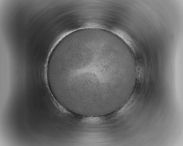 X0000093751094200710161153