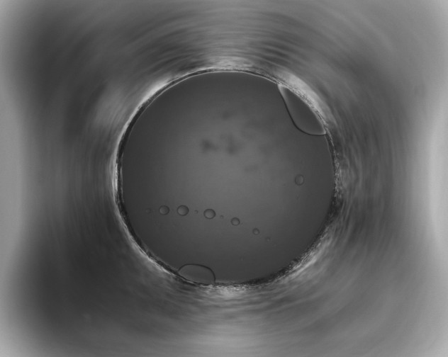 X0000093751095200710161153