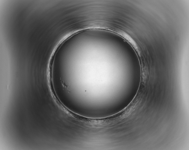 X0000093751096200710161153