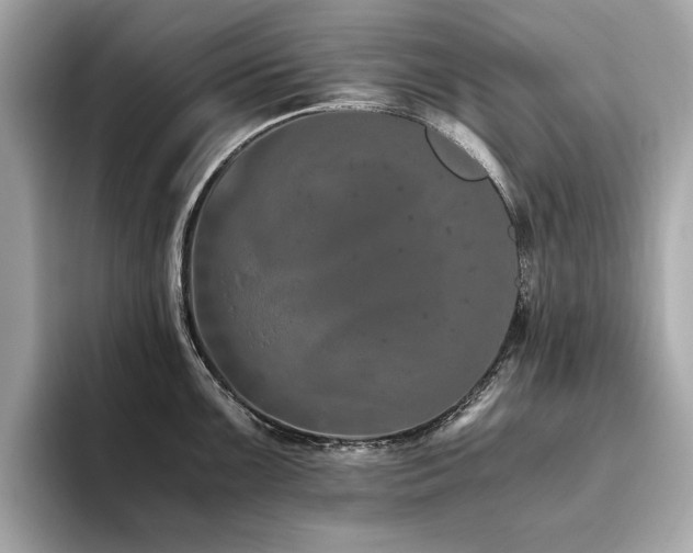 X0000093751099200710161153