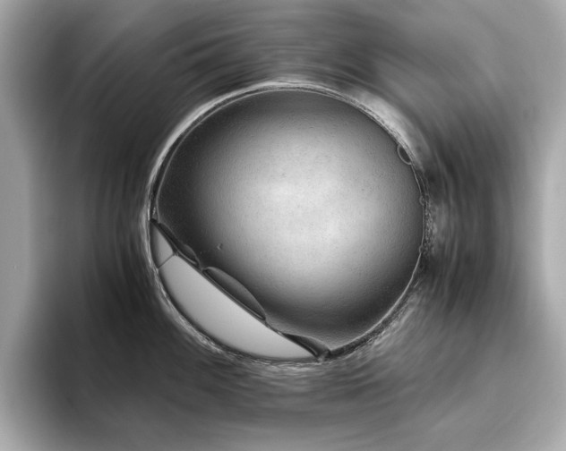 X0000093751100200710161153