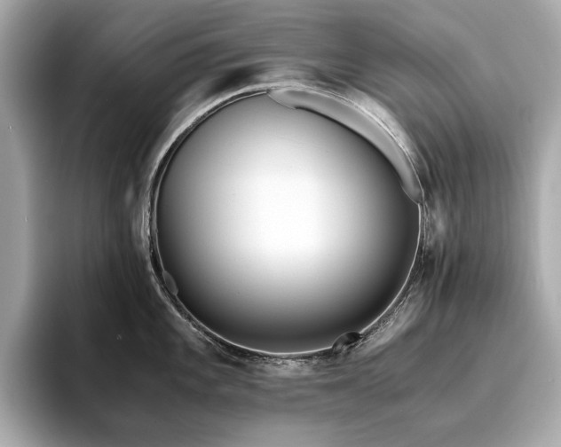 X0000093751101200710161153