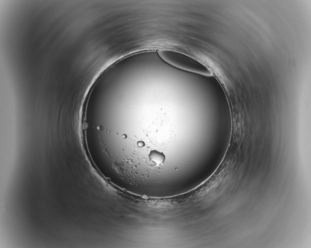 X0000093751103200710161152