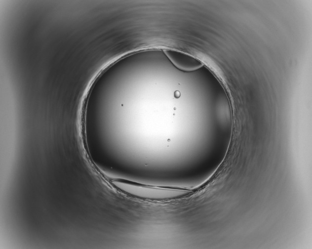 X0000093751104200710161152