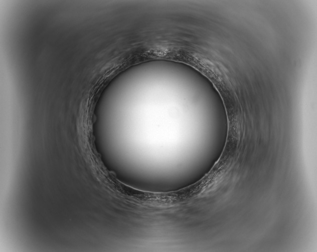 X0000093751105200710161152