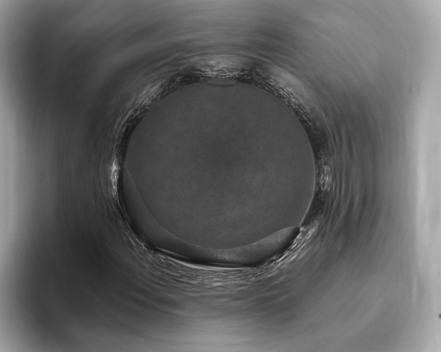 X0000093751108200710161152