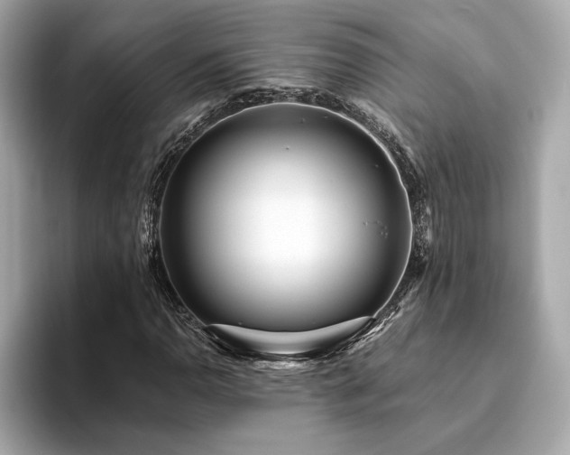 X0000093751110200710161152
