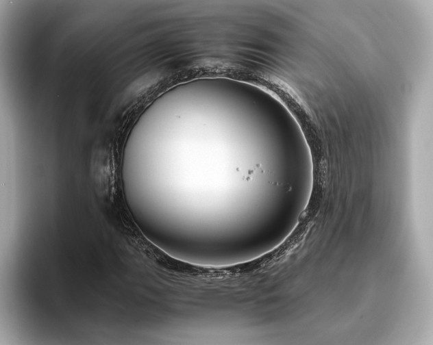 X0000093751111200710161152