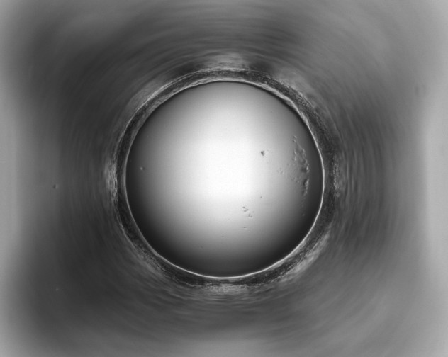 X0000093751113200710161152