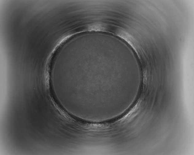 X0000093751115200710161152