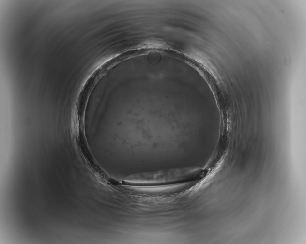 X0000093751117200710161152