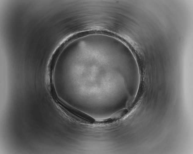 X0000093751118200710161152