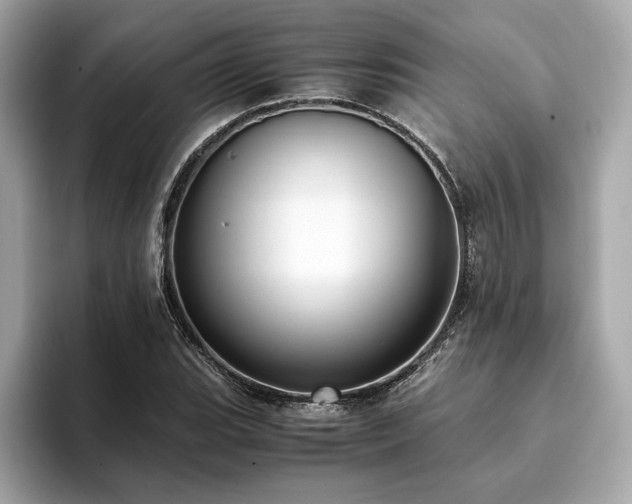 X0000093751119200710161152