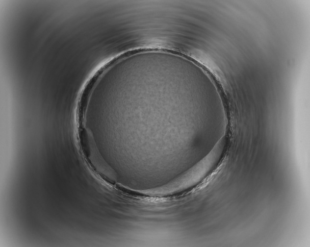 X0000093751120200710161152