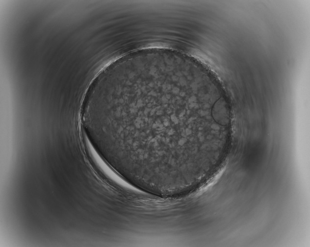 X0000093751121200710161152
